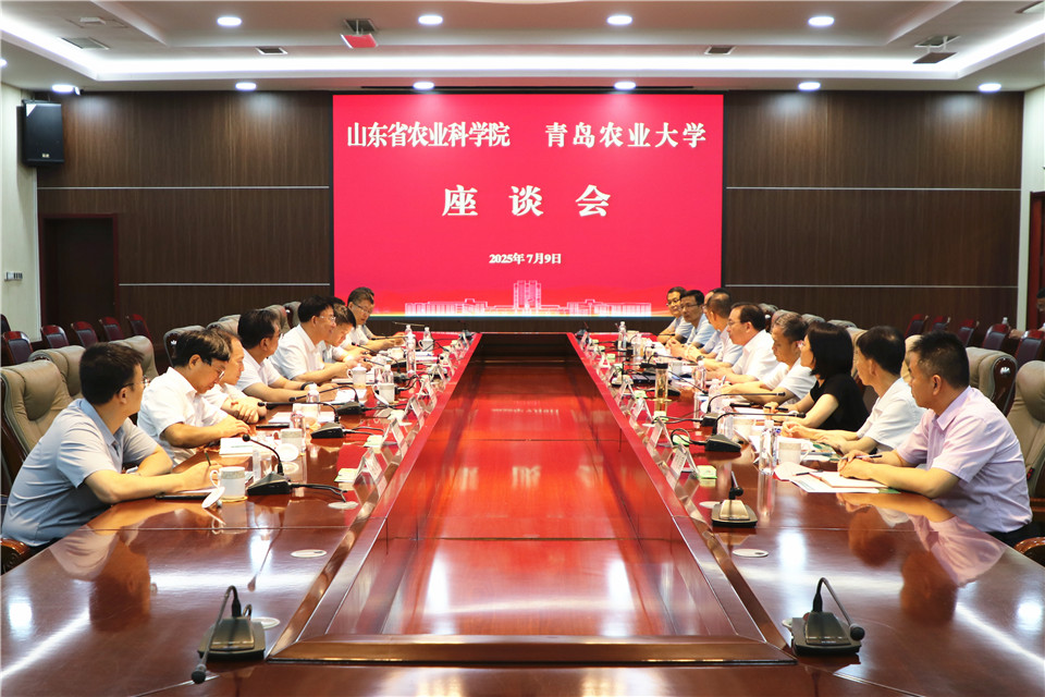 88858cc永利
