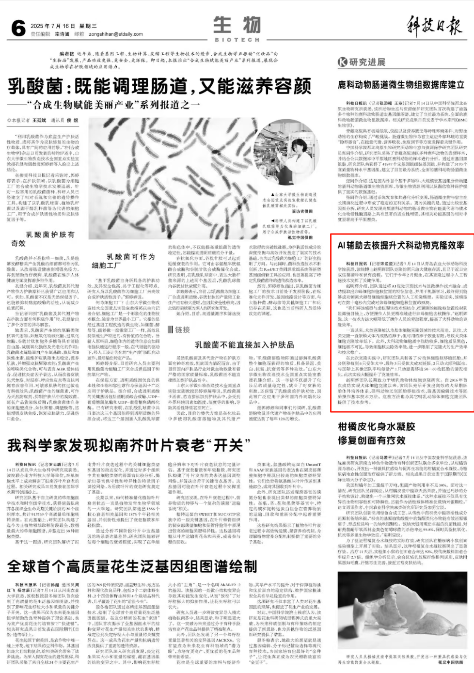 88858cc永利