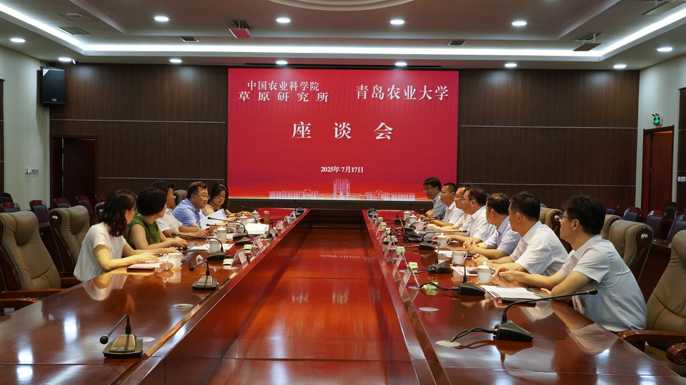 88858cc永利