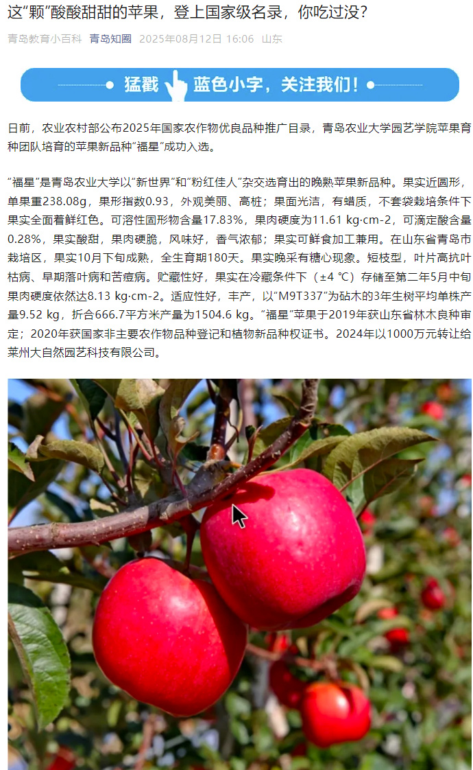 88858cc永利