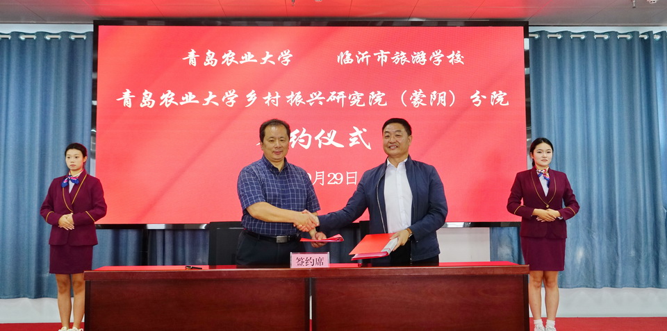 88858cc永利