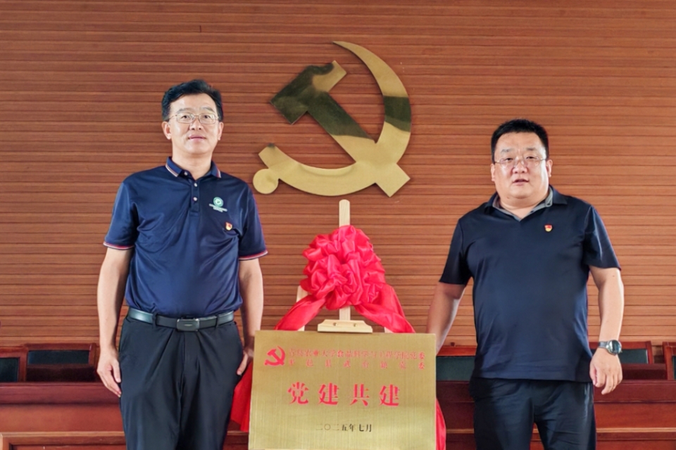 88858cc永利