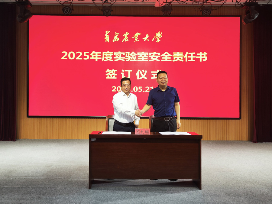 88858cc永利