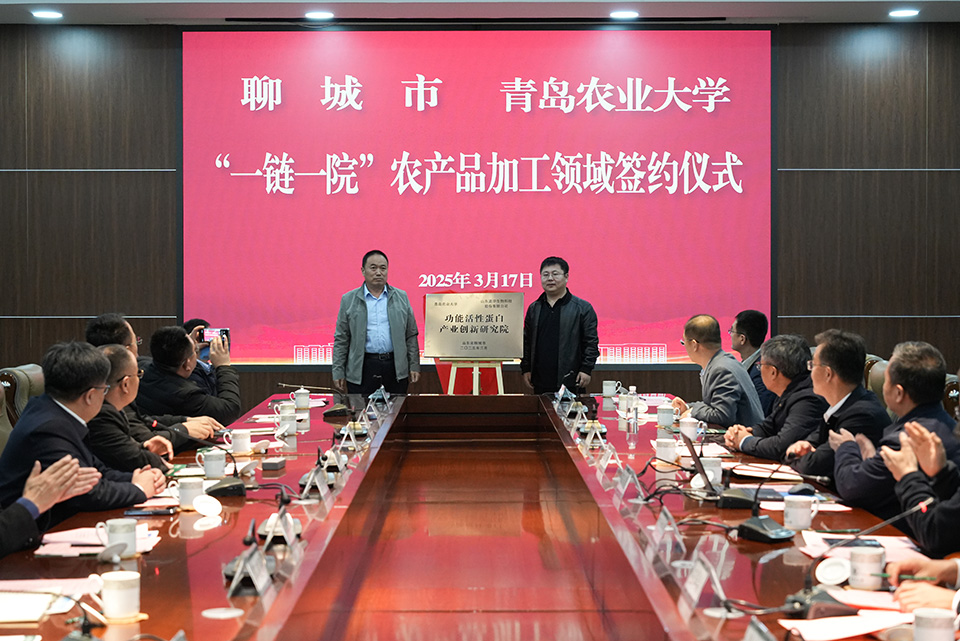 88858cc永利