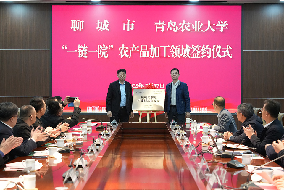 88858cc永利