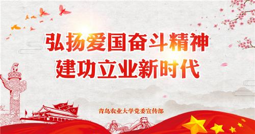 弘扬爱国奋斗精神 建功立业新时代（图片展）