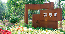 群芳圃开园！让我们一起翻开夏日的浪漫篇章！