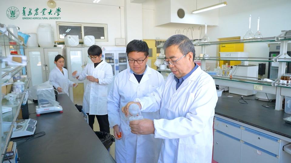 行走在黄河边的农大人丨耕耘在盐碱地上的15年……