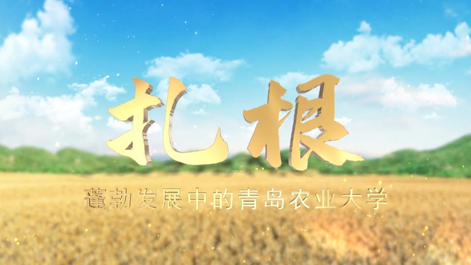 扎根——蓬勃发展中的88858cc永利